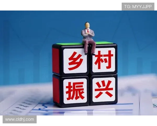 九台农商银行推动地方经济发展 助力乡村振兴与金融创新融合发展