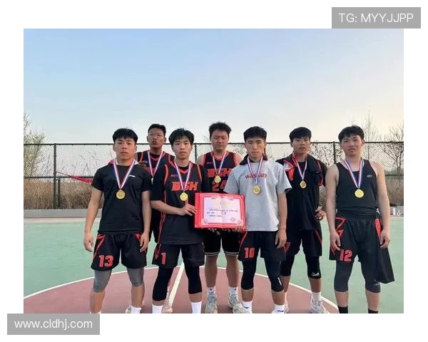 篮球点燃青春梦想凝聚团队力量书写激情与荣耀新篇章