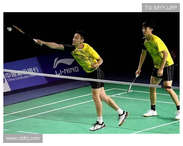 成都羽毛球队在冠军赛中的技术表现分析与总结