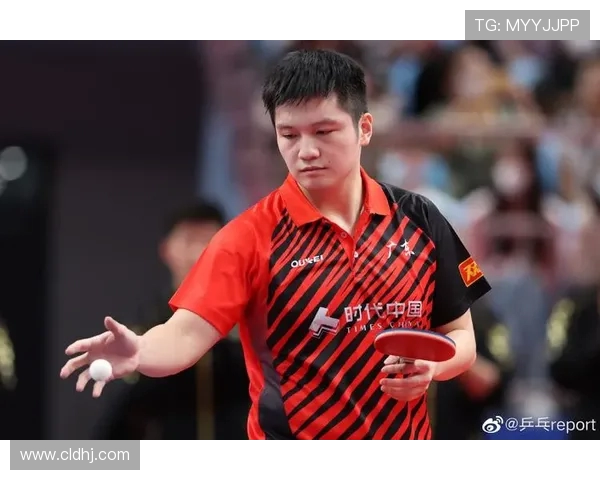 杭州乒乓球队近期状态分析与表现评估探讨