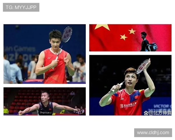 羽毛球状态排行榜揭晓上海羽毛球队荣登第八位展现强劲实力