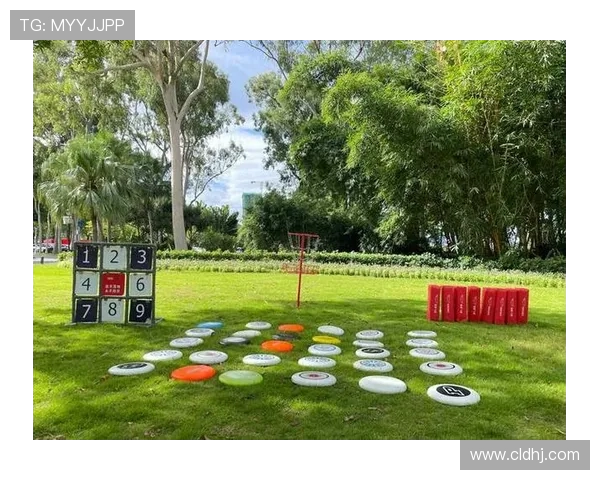 飞盘盛宴：深入了解杭州飞盘队的默契配合与战术策略