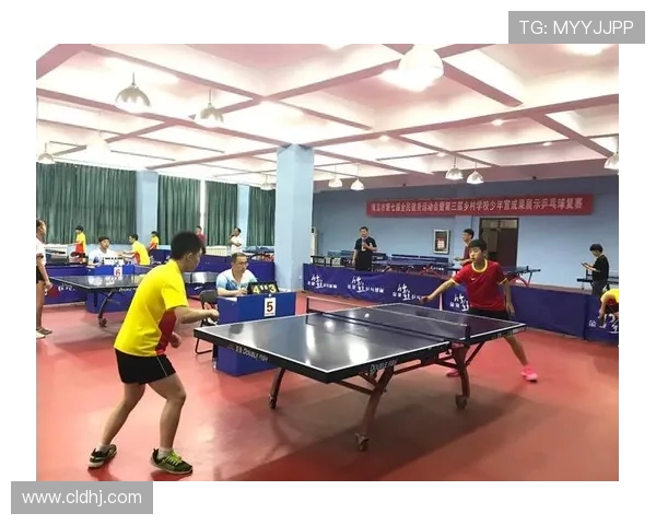 乒乓球运动的魅力与发展趋势探讨及其在全民健身中的重要作用