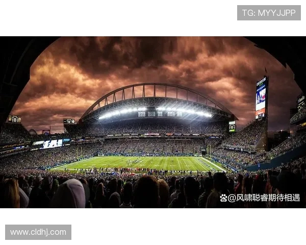 世界杯聚焦：全球足球盛宴的历史变迁与未来发展趋势分析