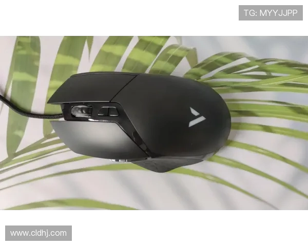 实时掌握全球电竞比分动态带你洞悉赛场胜负关键趋势走向全面深度