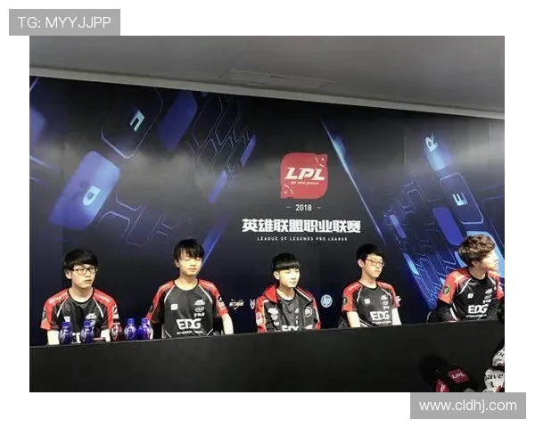 深度解析英雄联盟Meiko辅助打法与团队协作核心价值