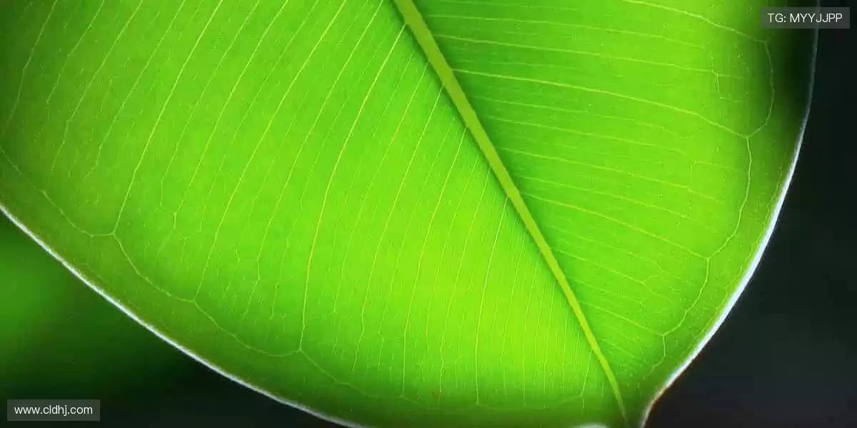 🎁 限量潮品,独家发售,体育周边让热爱触手可及!